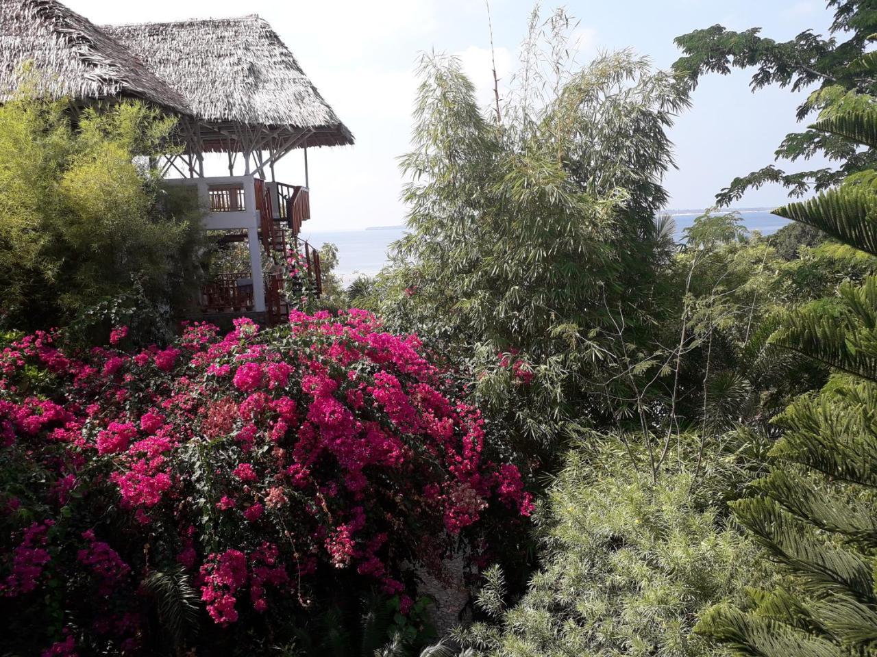 Mangga Lodge Бира Экстерьер фото
